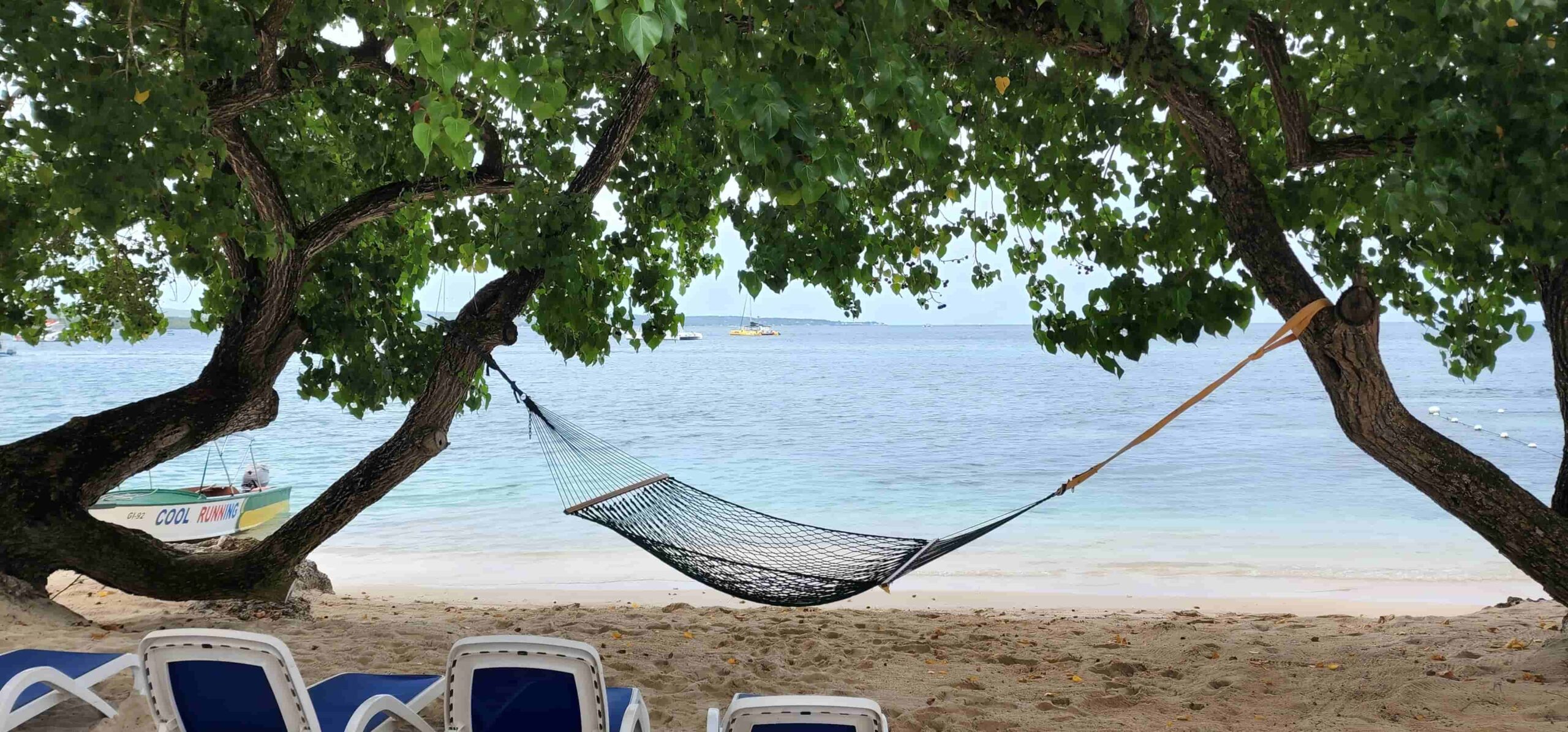 swinger beaches in jamaica