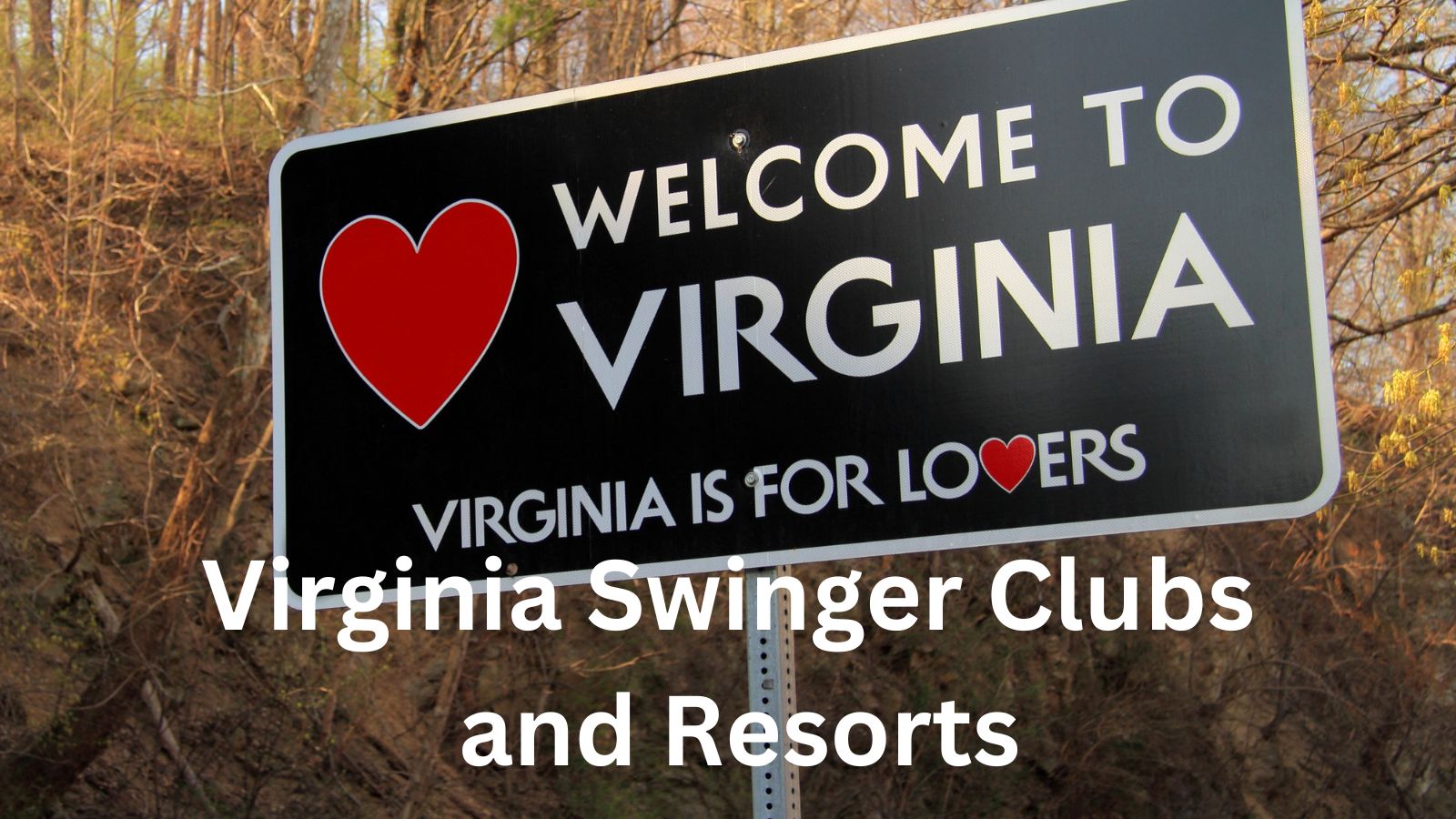 2023 Virginia Swinger Clubs and Resorts Is VA for sexy swingers? image