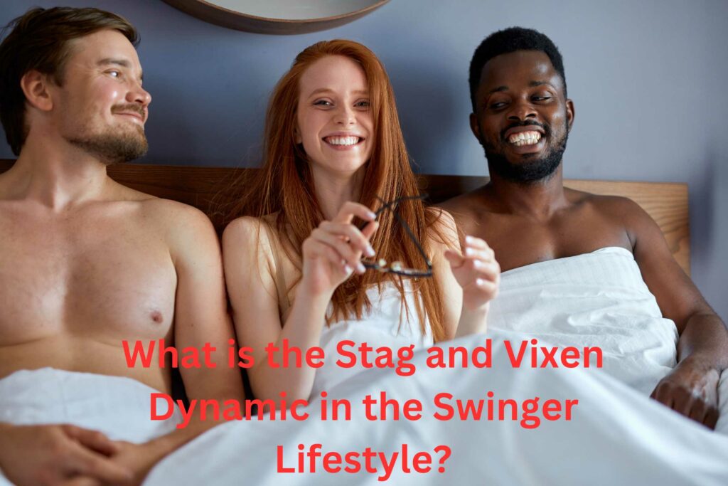 What is the Stag and Vixen Dynamic in the Swinger Lifestyle?