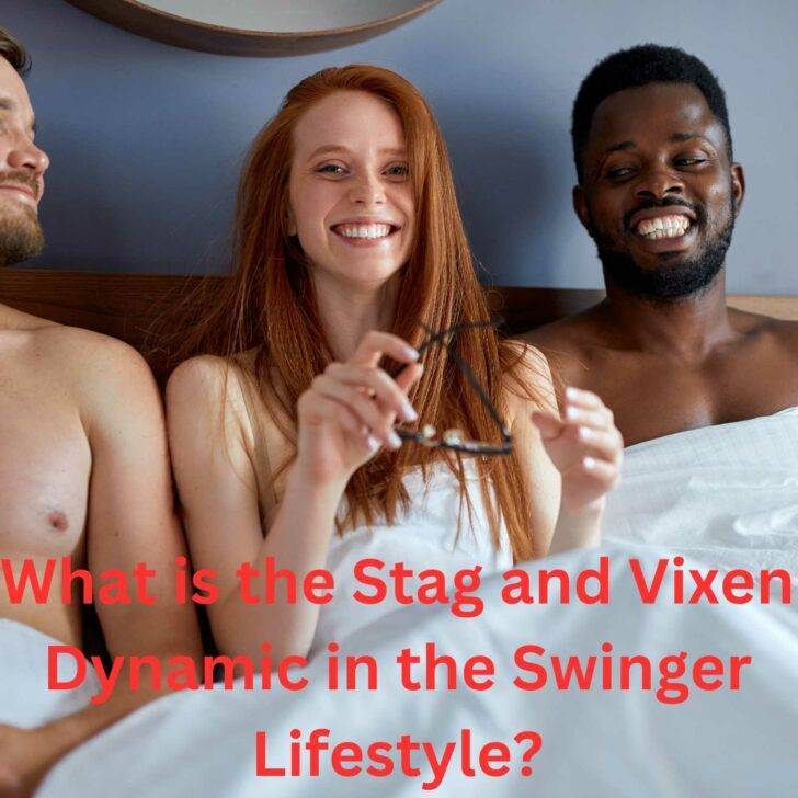 What is the Stag and Vixen Dynamic in the Swinger Lifestyle?